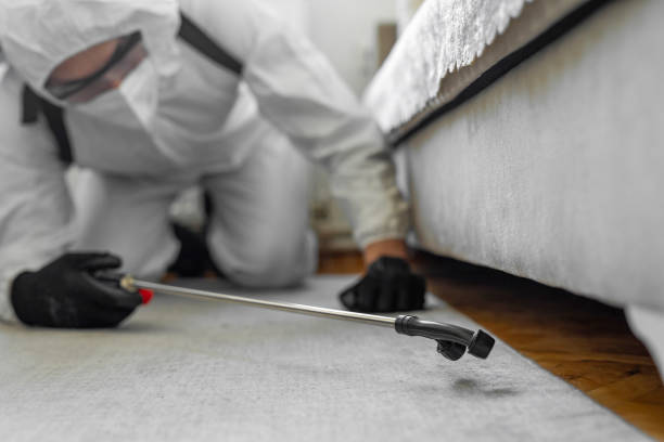 Professional Termite Control technician working in Washington, GA