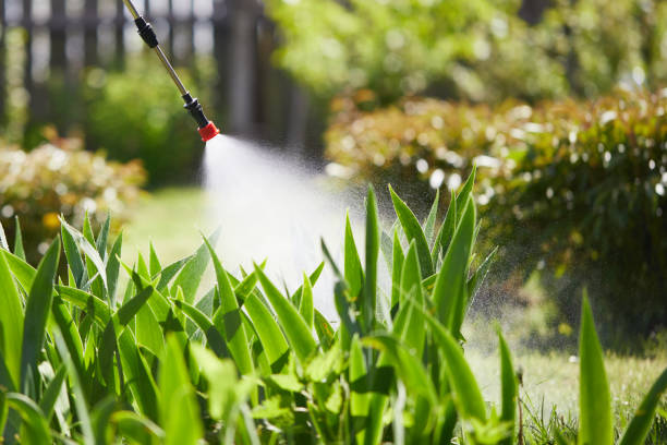24/7 Emergency Termite Control experts in Washington, GA