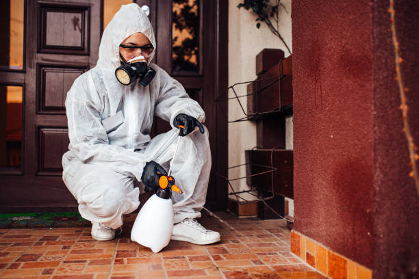 Reliable Termite Control contractor in Washington, GA by Nex Pest Control