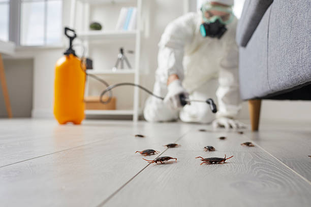 Trusted Cockroach Control service in Washington, GA - Nex Pest Control